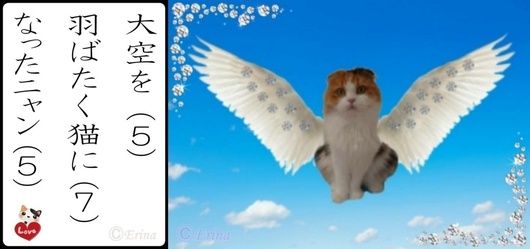 1000ⒸErina大空を羽ばたく猫になったニャンとレナちゃん.jpg
