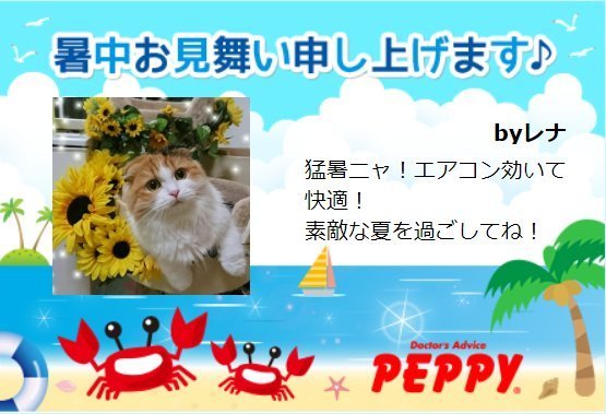 ブログ用PEPPYレナちゃんのサマーレター.jpg